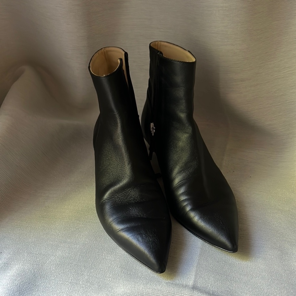 Everlane Black Kitten Heel Pointed Toe Italian Leather Boots